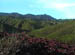MountTam