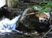 SmallFalls