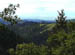 TreeHills